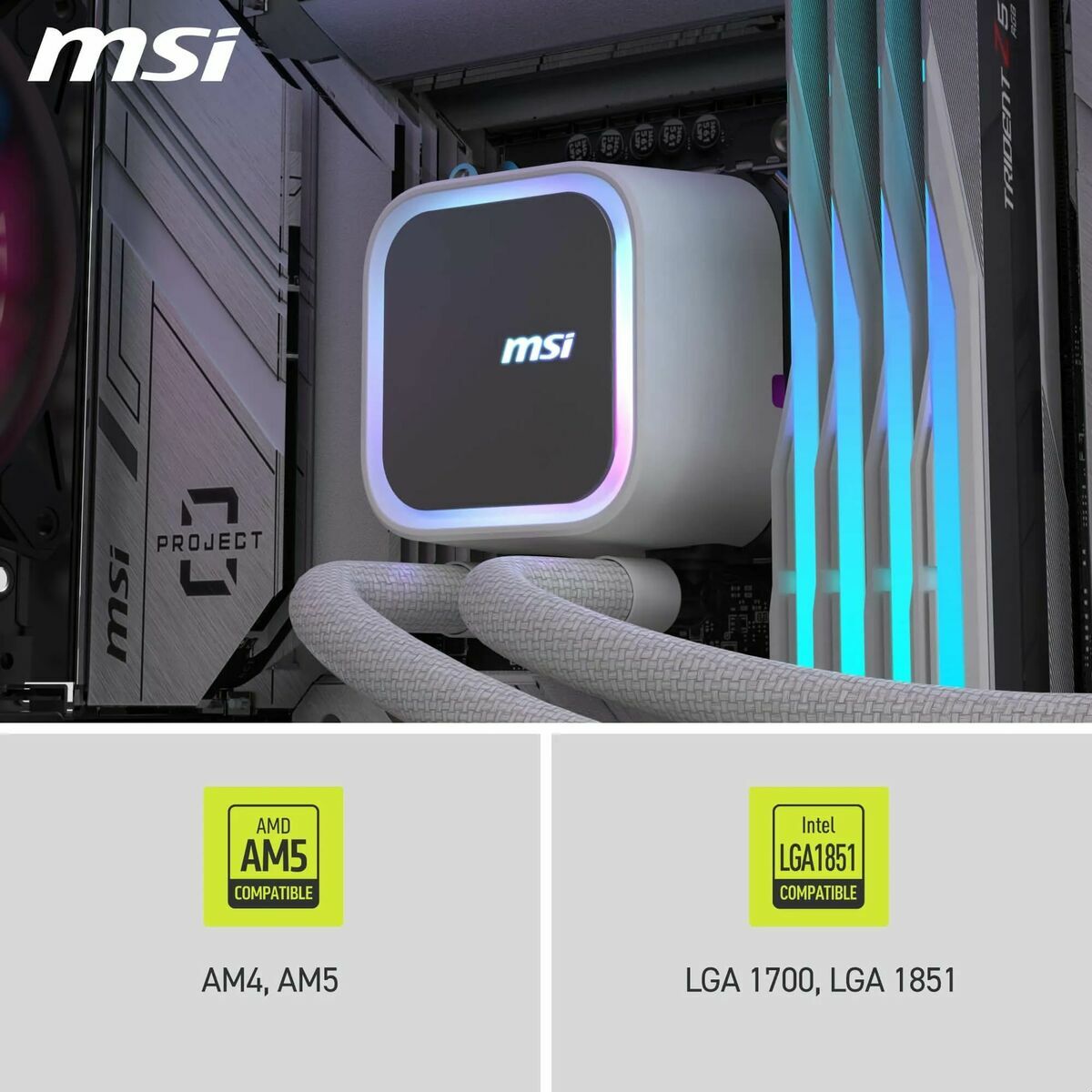 Case MSI 306-7ZWCA21-L80-10